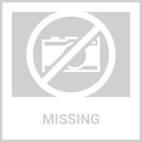 Dog Calcium Bones Wrapped Chicken & Rawhide Free Chew Treats Pet Healthy Dried Snacks Grain Free Organic Meat Chews For Training Small Large Dogs (Option: Beloved Pets)